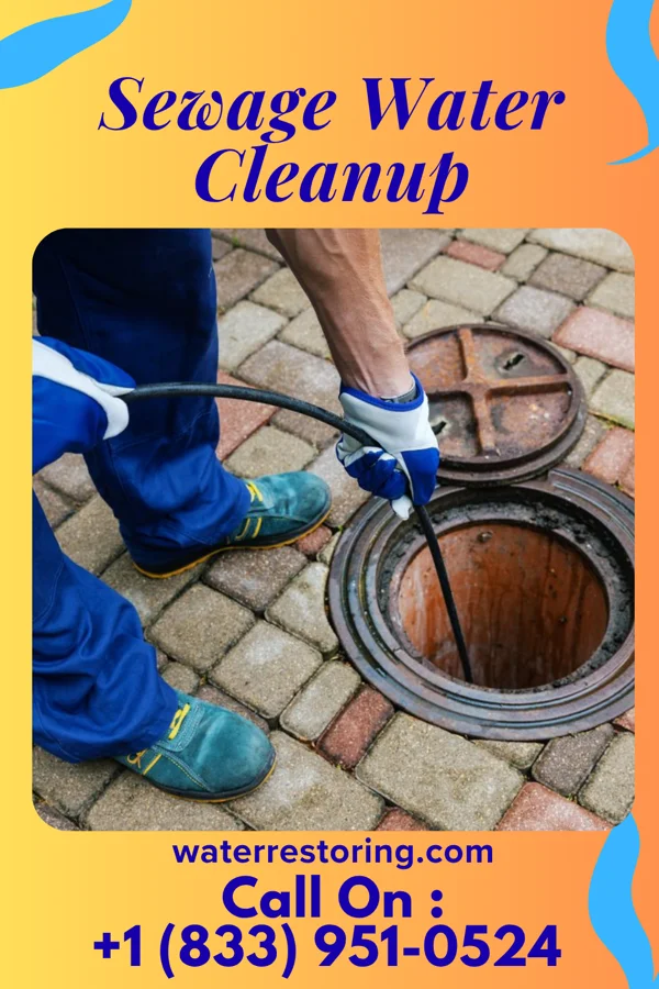 Sewage Water Cleanup in Bismarck, MO
